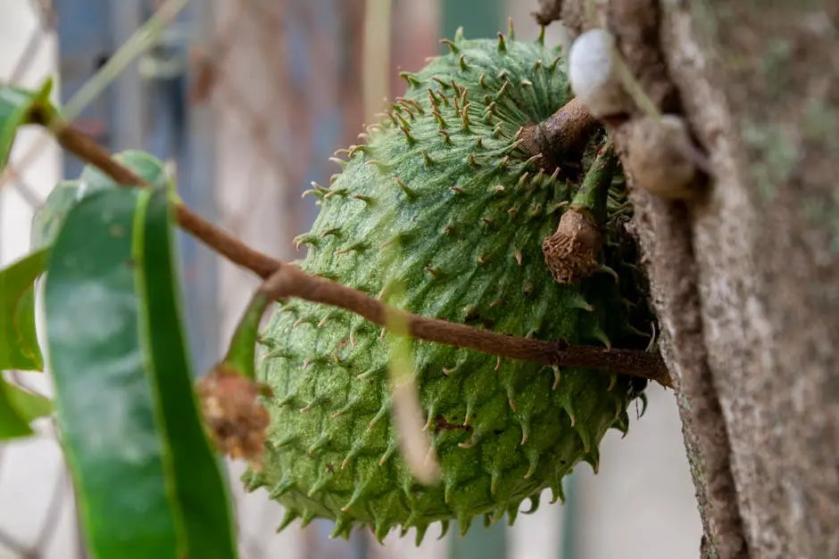 How Does Soursop Detoxify the Body?